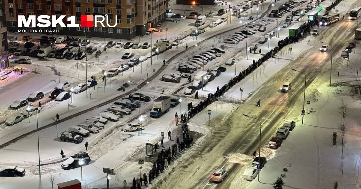 Это жители подмосковного ЖК «Пригород Лесное» выстроились в очередь на автобус. Источник: MSK1