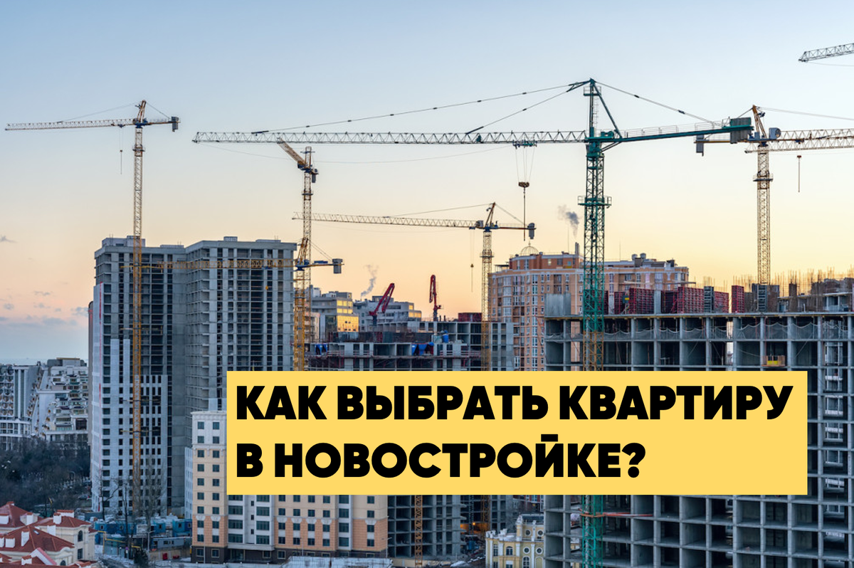 Фото: Afanasiev Andrii/shutterstock.com