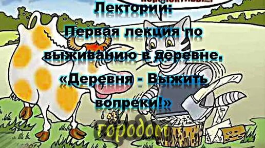 РДС Лекторий: Первая лекция по выживанию в деревне. «Деревня - Выжить вопреки!» Аудиокнига