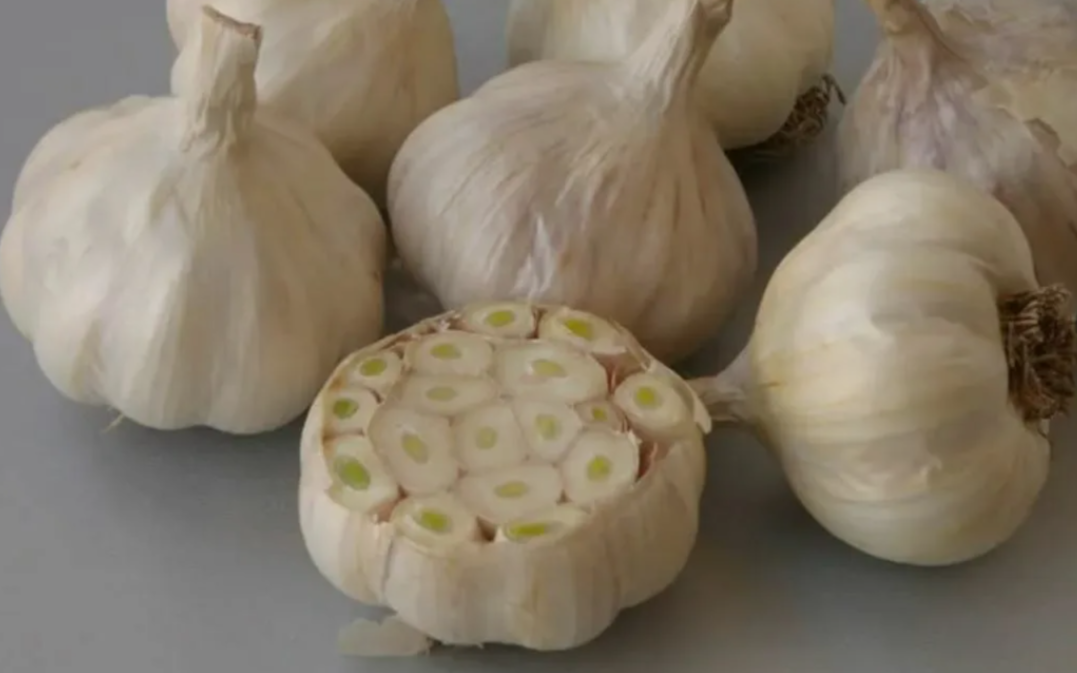 Яровой чеснок