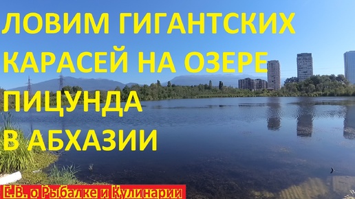 ЛОВИМ ГИГАНТСКИХ ЖЕЛТЫХ КАРАСЕЙ НА ОЗЕРЕ, КАК В ДЕТСТВЕ, В ПИЦУНДЕ АБХАЗИЯ.