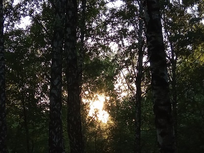 Фотография из личного архива автора