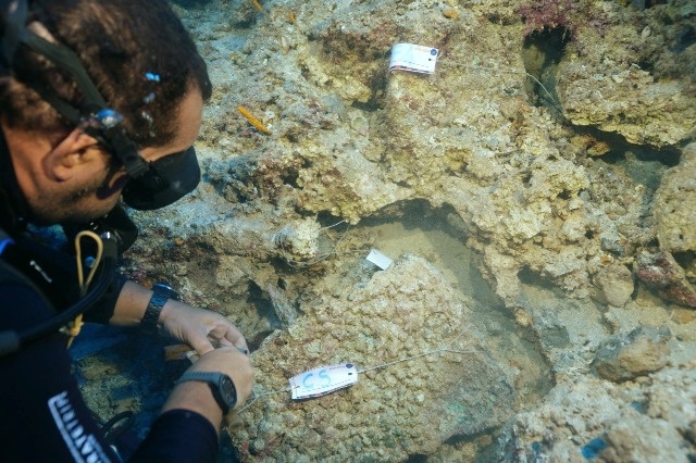 Дайвер обнаруживает среди камней кинжал. Фото: Министерство культуры и туризма Турецкой Республики