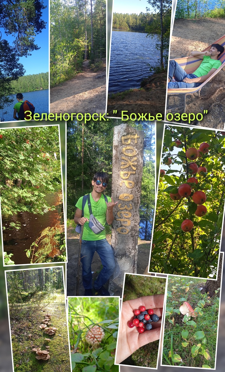 Зеленогорск.Август 2024