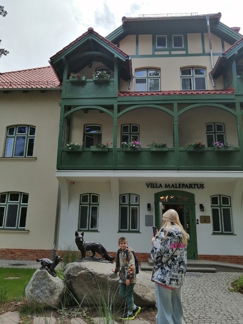 Светлогорск