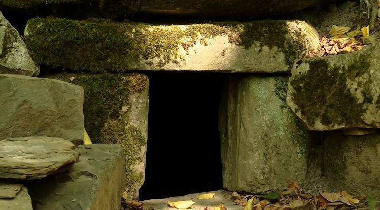    Фото: Сочи24