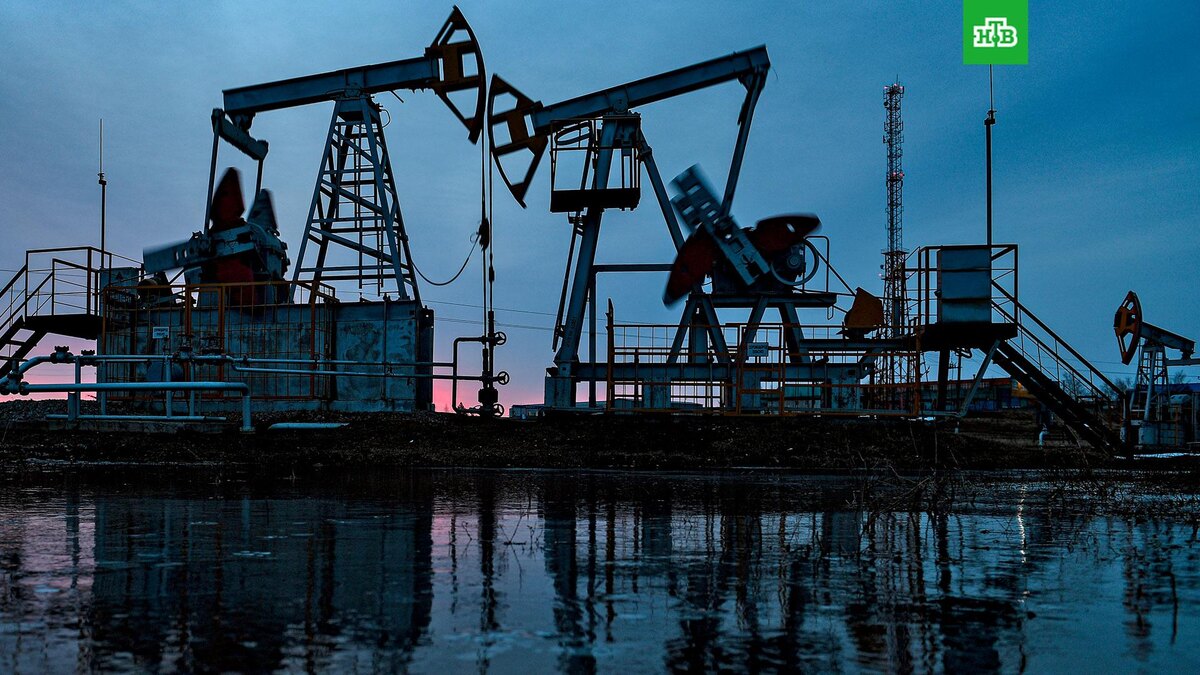    Фото: РИА Новости © 2024, Максим Богодвид