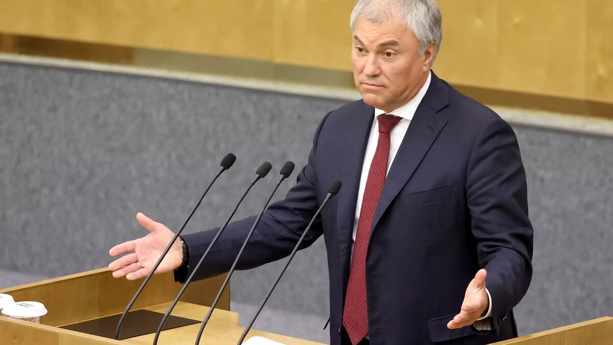 Многие из новых законов, о которых напомнил спикер Госдумы Володин, были приняты еще в 2023 году. Источник: Сергей Карпухин/ТАСС