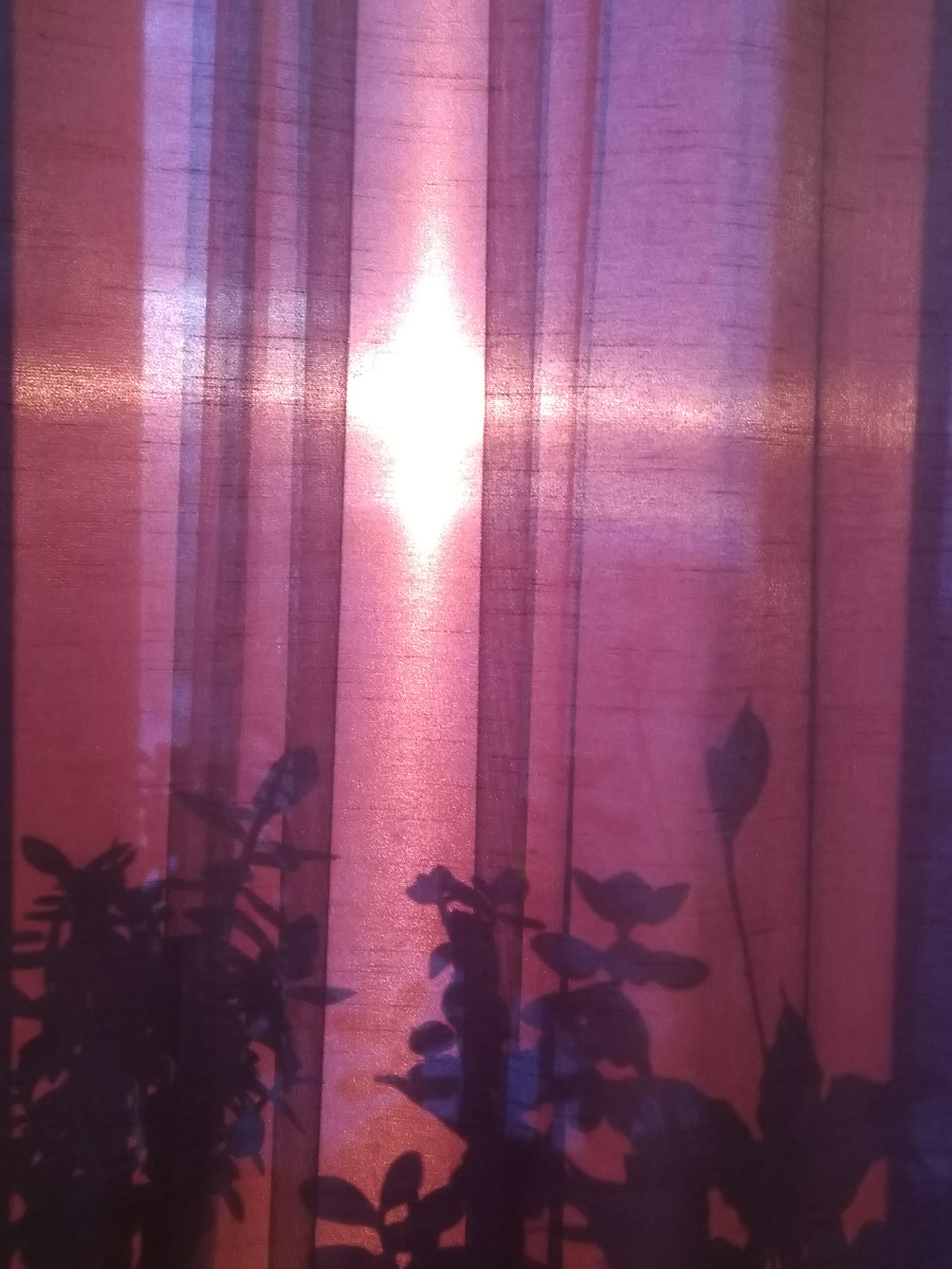 Фото автора. Утро