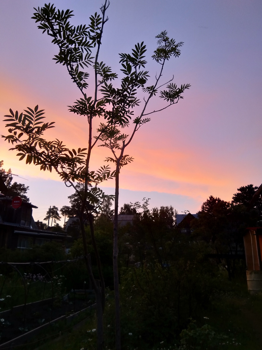 Фото автора. Однажды вечером