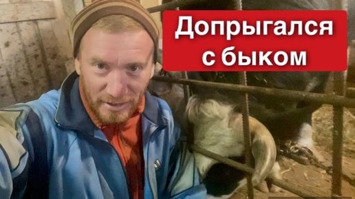 ПОКАЛЕЧИЛСЯ ИЗ-ЗА БЫКА 🐃🤷‍♂️