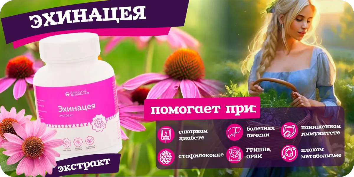 «Алтайский заготовитель» Экстракт эхинацеи в капсулах
