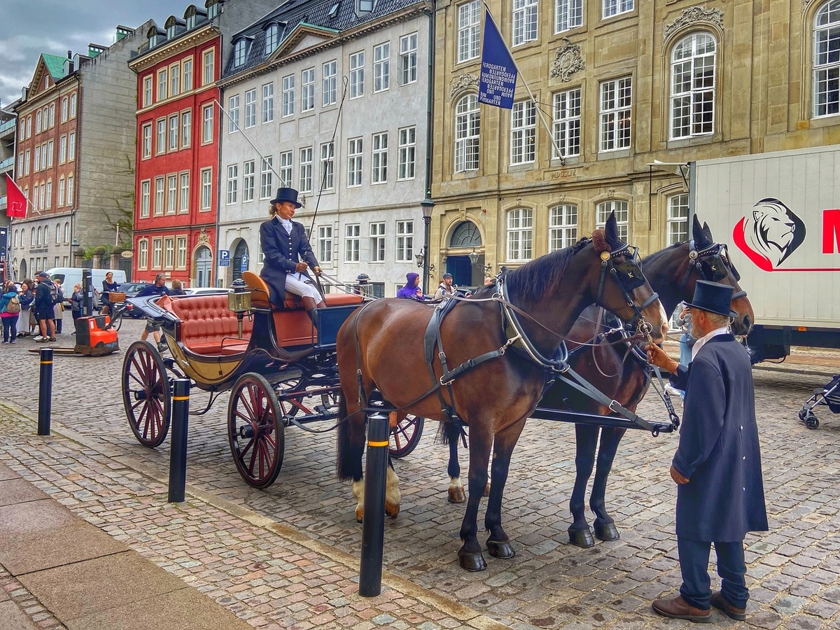 Даже повозку с лошадьми можно встретить на улицах Копенгагена