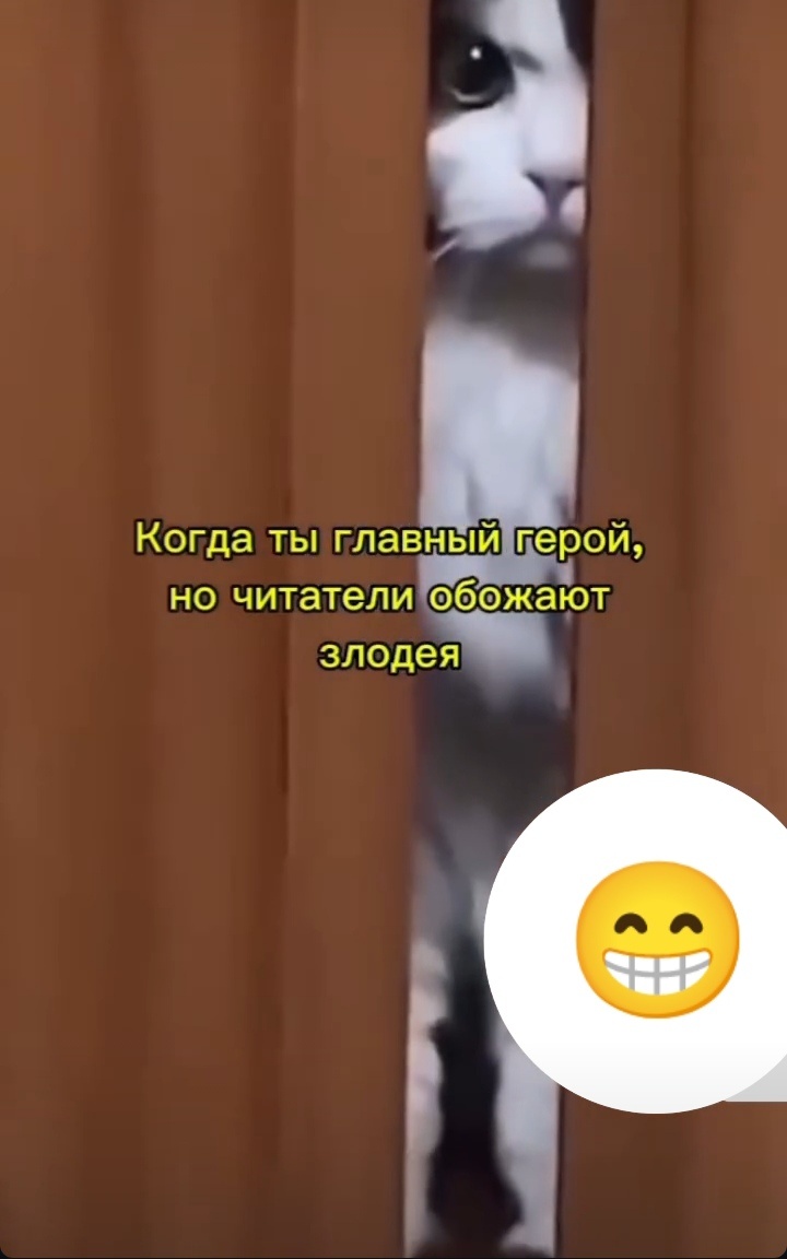 Фото из открытых источников.