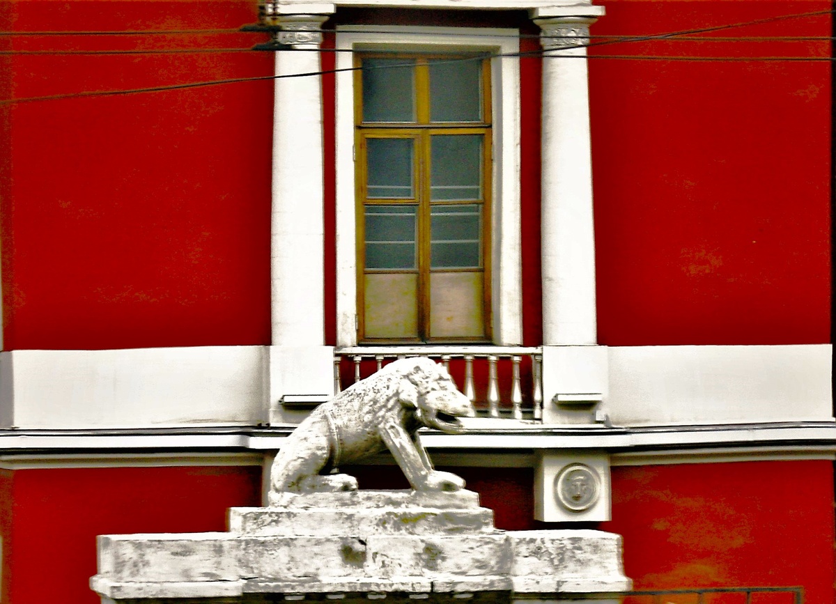 Фото автора