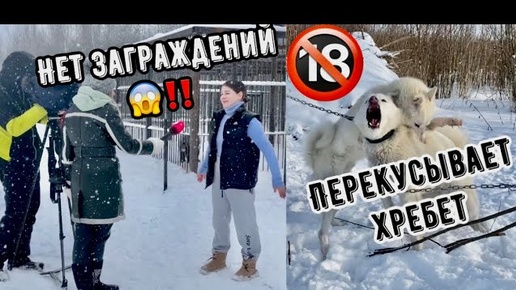 У МЕДВЕЖОНКА нет отжимов, как так ⁉️ Отец ломает сына ‼️🔞