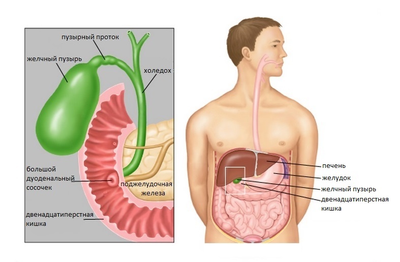 фото источник uniclinic.pro