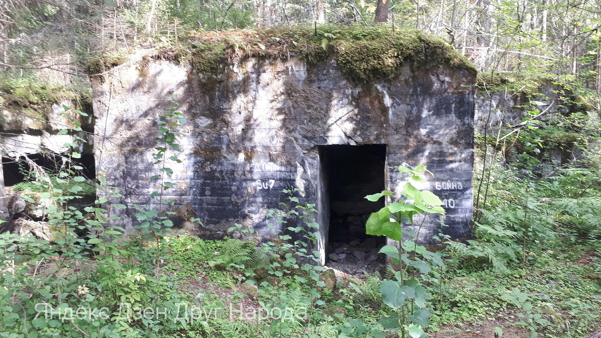 ДОТ Su7. Фото автора