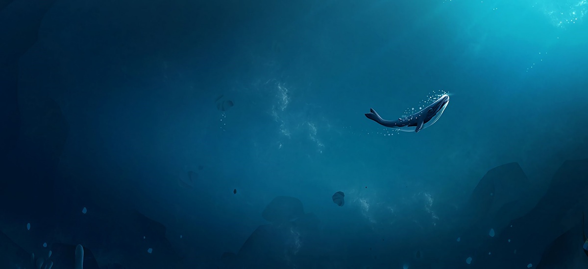 Кит, без которого не состоялась бы эта история. Картинка из интернета.