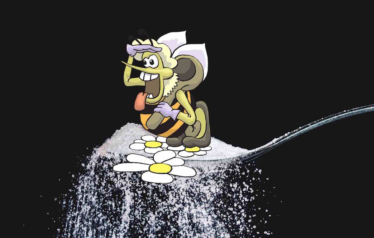 Подкормка пчёл осенью