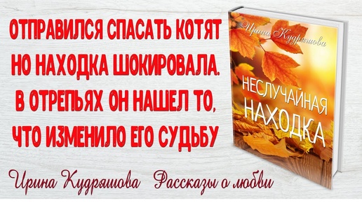 НЕСЛУЧАЙНАЯ НАХОДКА. Ирина Кудряшова. Рассказ о любви. ПОУЧИТЕЛЬНЫЕ ИСТОРИИ ЛЮБВИ