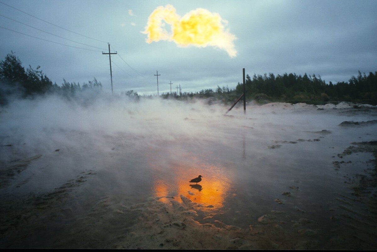 Фото: Игорь Гаврилов