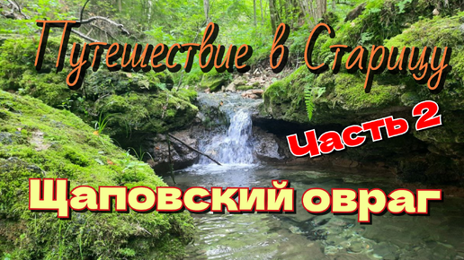 Щаповский овраг. Окаменелости каменноугольного периода Тверской области.