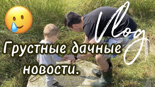 Дачный влог. Грустные новости.