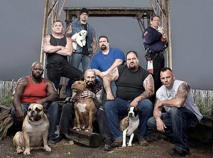 Как американские байкеры спасают животных и ломают ринги для собачьих боев