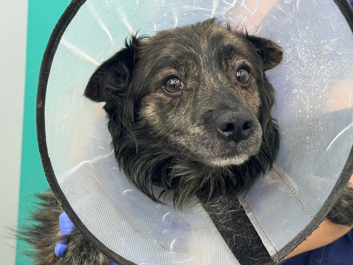 Герочка …💔