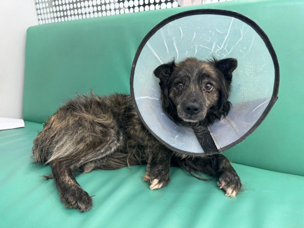 Герочка в клинике. Подмосковье 