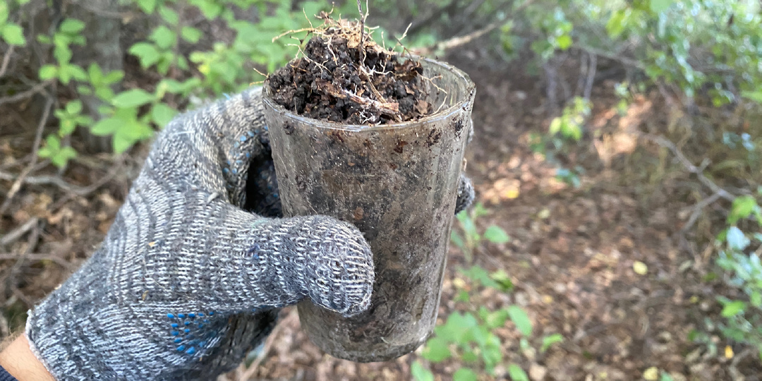 Необычная находка в лесополосе. Не ожидал это там найти! Приехал фермер, встал и наблюдал как я копаю металл у поля