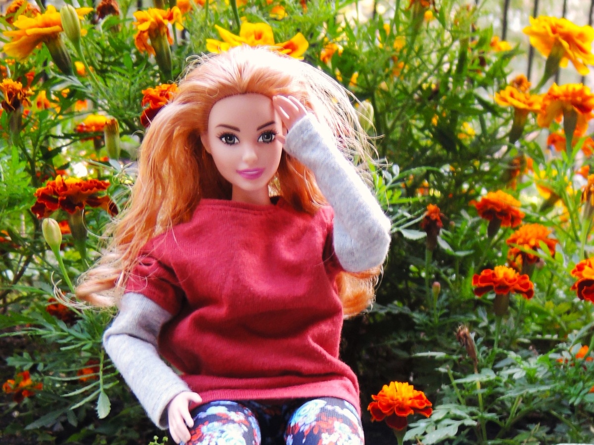 Barbie ftg84 hotsell
