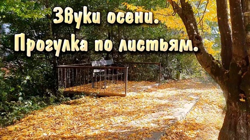 Не шумят листвой