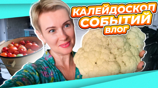 Download Video: ГОСТИ, УРОЖАЙ ПРЕТ, НОВЫЕ ОЧКИ И ДВОРЯНСКАЯ УСАДЬБА | КАЛЕЙДОСКОП СОБЫТИЙ