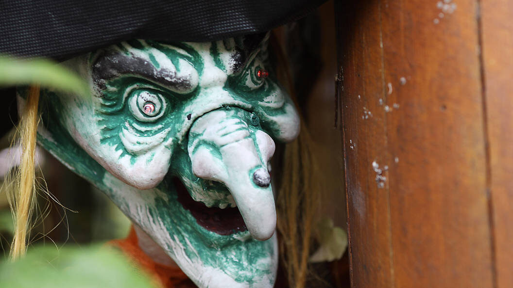    IMAGO/steffen schellhorn www.aug/Globallookpress