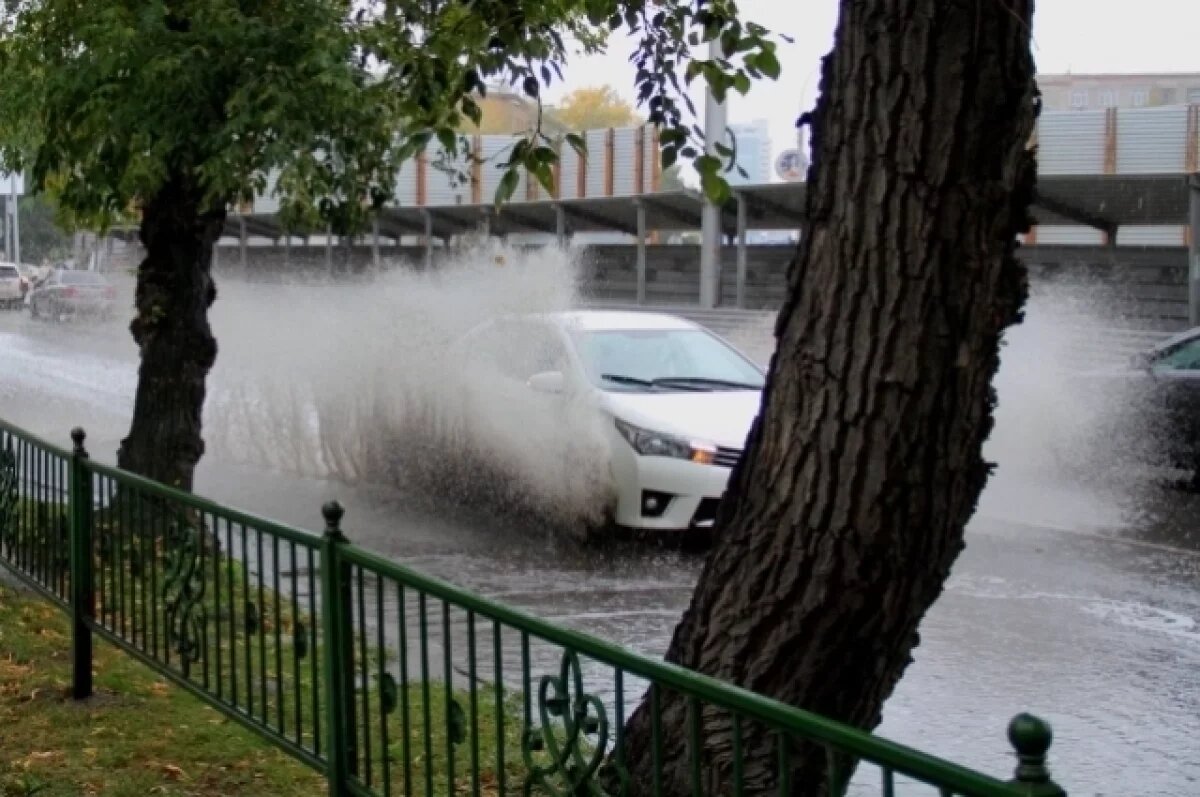    Синоптики предупредили новосибирцев о дождливых и холодных выходных
