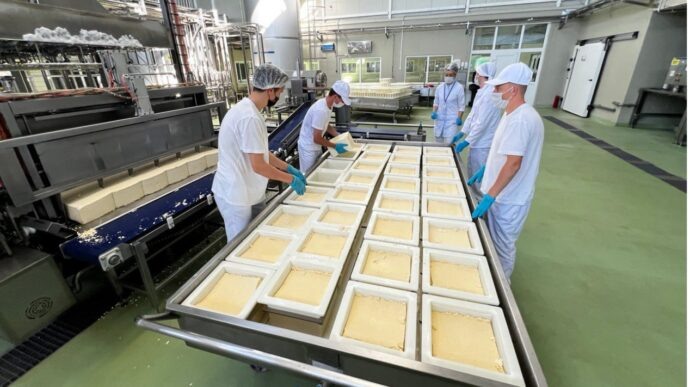 Выгрузка сырного зерна.