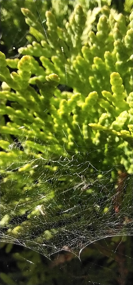 Личное фото