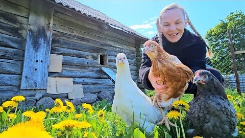 УРА! У нас пополнение - НАСТОЯЩЕЕ ХОЗЯЙСТВО! Наша ЖИЗНЬ В ДЕРЕВНЕ и ремонт в старом доме!