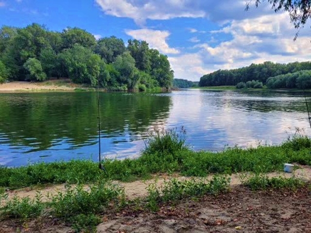 Рыбалка на Днестре