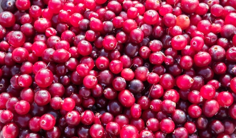  Различают четыре вида клюквы   © РИА Новости. Илья Тимин