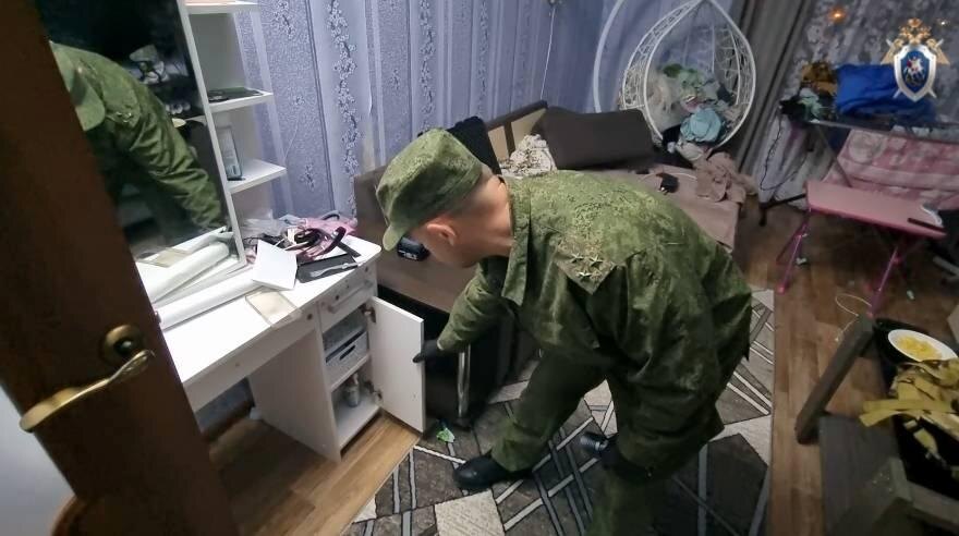    © Следственное управление Следственного комитета РФ по Пермскому краю