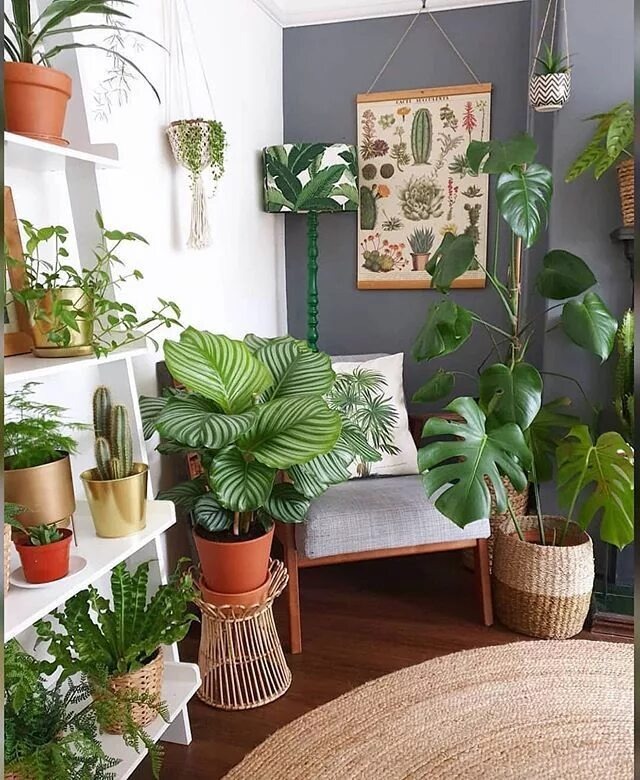 Картинка из свободного доступа 