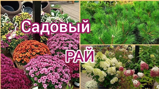 Мы попали в РАЙ. Садовый центр GreenЛандия.