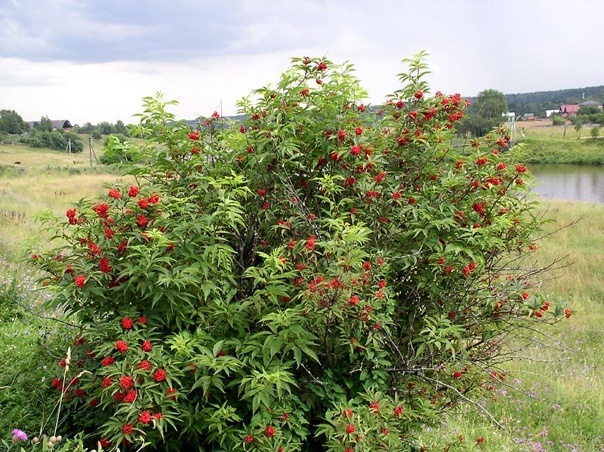 Изображение из открытых источников