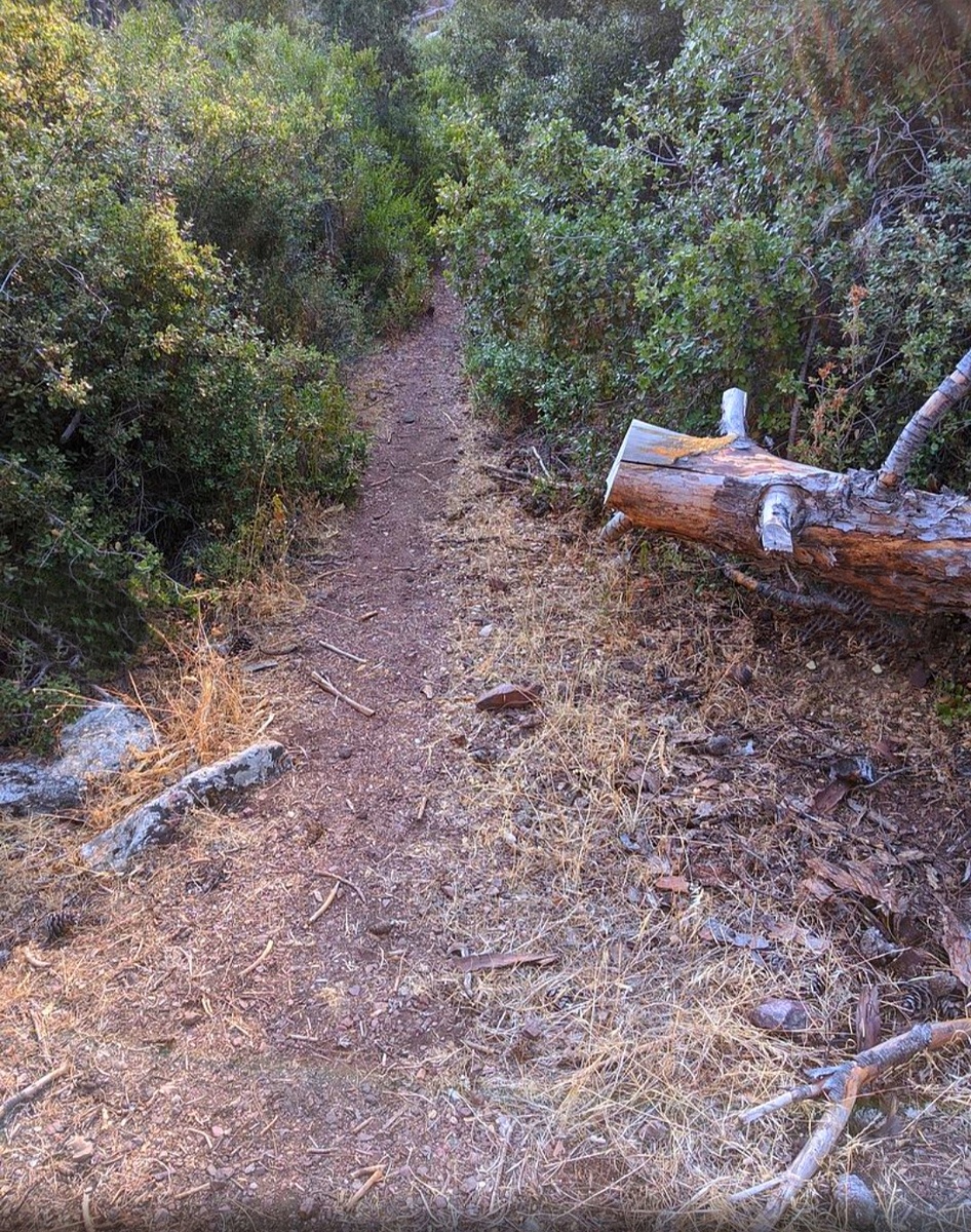 Небольшой привал на карийской тропе и идем дальше... ☝️ 