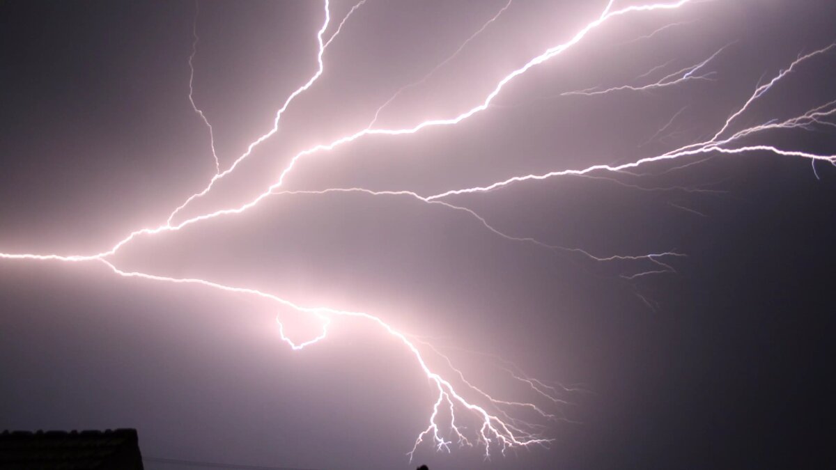     Автор: wikimedia.org