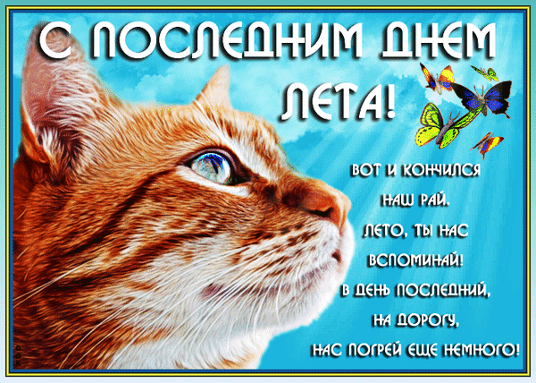 -16