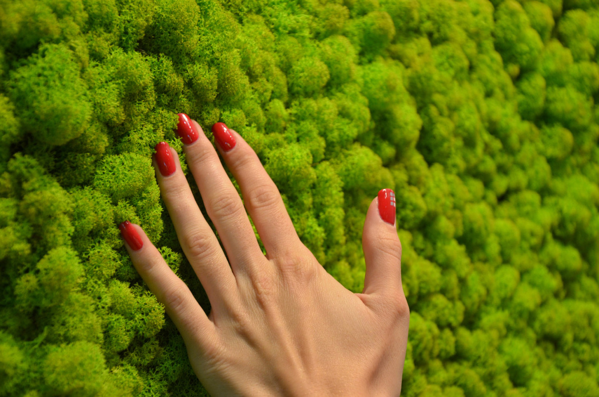 Мох пушистый и мягкий на ощупь